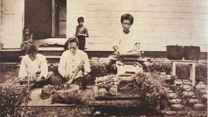 Shaping the Future: Thailand’s Model for a Truly Beneficial Cannabis&nbsp;Industry